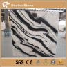 Panda White Marble for Wall Cladding